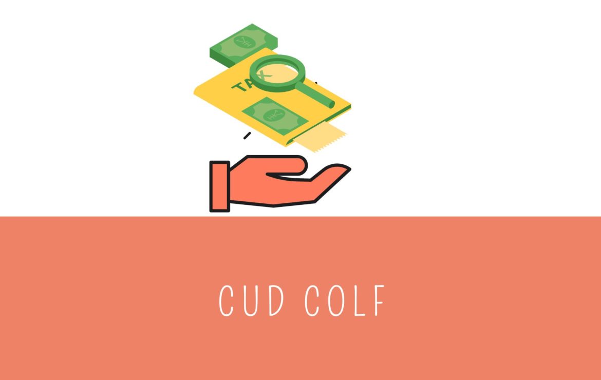 Cu (ex cud) colf: istruzioni per compilare la certificazione unica