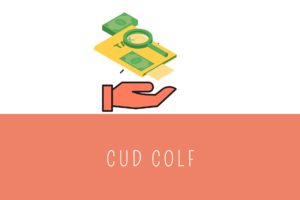 Cu (ex cud) colf: istruzioni per compilare la certificazione unica