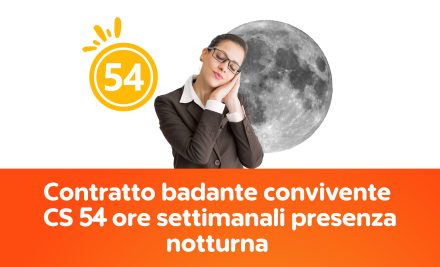 Contratto badante convivente CS 54 ore settimanali presenza notturna 